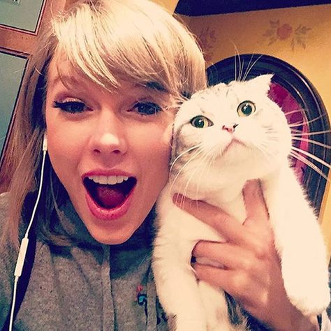 Taylor Swift Pose Reference, Taylor Purple Aesthetic, Taylor Swift Cute Photos, Taylor Swift Being Cute, Taylor Swift Selfie, Taylor Swift Instagram, Taylor Swift Cats, 2015 Aesthetic, Taylor Swift 2014