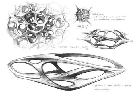 Zaha Hadid Sketch, Speed Form, Bionic Design, Form Study, Product Sketches, Logos Retro, Drukarka 3d, Product Sketch, Design Sketching