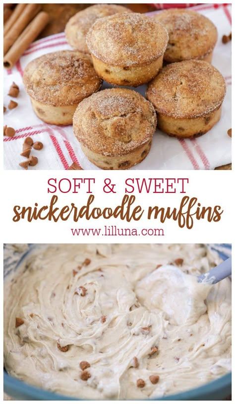 Soft and sweet Snickerdoodle Muffins taste just like their cookie cousin! They're a perfect grab-and-go breakfast or late-night snack. #snickerdoodlemuffins #snickerdoodle #muffins #breakfast Snickerdoodle Mini Muffins, Snickerdoodle Muffins Easy, Snickerdoodle Donut Muffins, Snicker Doodle Muffins, Grab And Go Desserts, Late Snacks, Snickerdoodle Muffins Recipe, Snickerdoodle Recipes, Muffins Coffee Cake