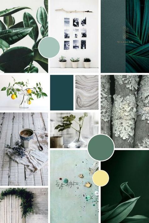 Natural Moodboard, Pantone Cards, Desain Merek, Mood Board Template, Squarespace Website Design, Identity Design Logo, Have Inspiration, Branding Mood Board, Green Colour Palette