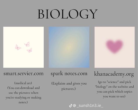 Biology Websites For Students, Study For Biology, Study Break Ideas, Focus Study, Studie Hacks, Useful Apps, Management Organization, Studera Motivation, New Semester