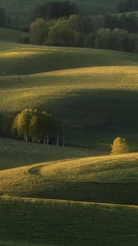 Nature Asthetics Photos, Simplistic Aesthetic, 숲 사진, Alam Yang Indah, Rolling Hills, Nature Aesthetic, Pretty Places, Green Aesthetic, Cottage Core