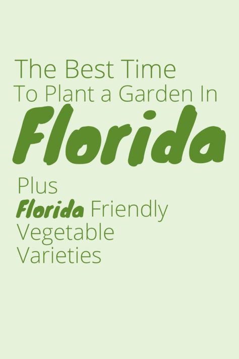 When To Plant Garden, Garden In Florida, Vegetable Planting Calendar, Start A Vegetable Garden, Homestead Florida, Gardening Tips For Beginners, Start A Garden, Garden Prepping, Florida Garden