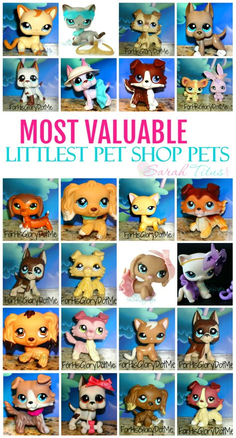 Ever wonder which of your LPS are worth money and which ones aren't? Here's the most expensive, most valuable rare Littlest Pet Shop pets. Pet Shop Ideas, Lps Crafts, Rare Lps, Sarah Titus, Cute Lps, Lps Accessories, Lps Popular, Lps Customs, Littlest Pet Shops