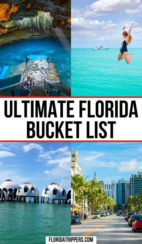 Florida Bucket List, Best Places In Florida, Springs In Florida, Florida Trips, Florida Activities, Things To Do In Florida, Florida Vacation Spots, Florida Travel Destinations, Orlando Trip