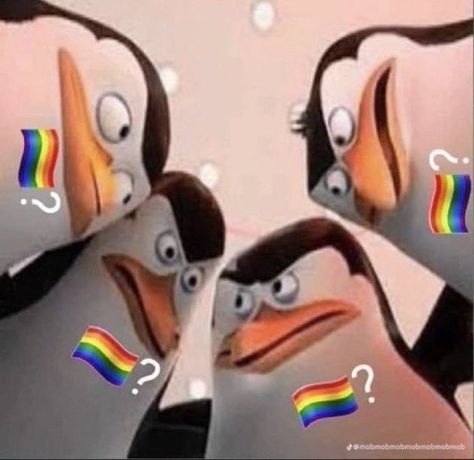 Pinguin Meme, Madagascar Meme, Reaction Photos, Gay Sticker, Penguins Of Madagascar, Reaction Memes, Gay Memes, Reaction Pics, Funny Reaction Pictures