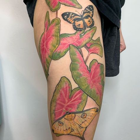 Aglaonema Tattoo, Elephant Ear Tattoo, Caladium Tattoo, Ear Plant Tattoo, Caladium Drawing, Elephant Ear Plant Tattoo, Plant Tattoo Design, Elephant Ear Tattoo Plant, Serena Core