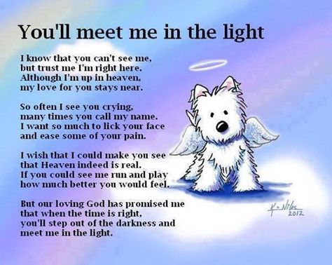 Beautiful tribute for anyone who loses a beloved pet. Losing A Dog Quotes, Dog Heaven Quotes, Dog Love Quotes, Dog Poems, Fu Dog, Heaven Quotes, Dog Heaven, Memorial Tattoos, Mia 3