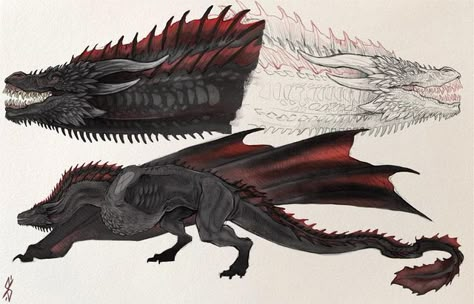 S i ø S I N ☾ on Instagram: "🖤DROGON🖤 The last living dragon. I love the massive chest muscles he needs to get him off the ground, such a tank. #houseofthedragon #gameofthrones #got #hotd #drogon #syrax #caraxes #asoiaf" Targaryen Dragons Art, House Of The Dragon Dragons, Drogon Game Of Thrones, Game Of Thrones Dragons, Got Dragons, Targaryen Art, Gra O Tron, Dragon Rider, Dragon Games