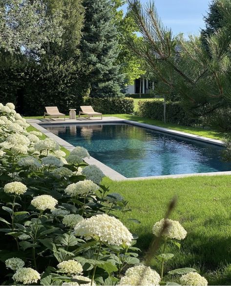 Walled Garden Swimming Pool, English Garden Pool Backyards, Hamptons Backyard Landscaping, Organic Shaped Pool, Big Garden With Pool, Countryside Pool, Pool In Garden, Natural Looking Pools, Hamptons Backyard