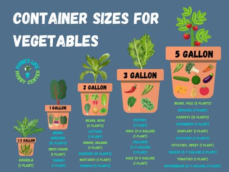 Vegetable Container Size Standards (With Chart) - Ponics Life Tips For Growing Vegetables, Container Gardening Layout, Garden Ideas For Beginners, Balcony Garden Ideas, Vegetable Garden Planning, Vegetable Garden Diy, Gardening 101, Veg Garden, Home Vegetable Garden