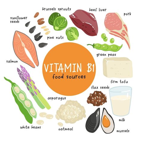 Collection of vitamin b1 sources food co... | Premium Vector #Freepik #vector #antioxidant #vitamin-icon #vitamins-minerals #nutrition-icon Vitamin B Foods, Salmon Asparagus, Vitamin A Foods, Healthy Body Healthy Mind, Tuna Avocado, Pork N Beans, Kindergarten Reading Worksheets, Salmon And Asparagus, Stomach Issues