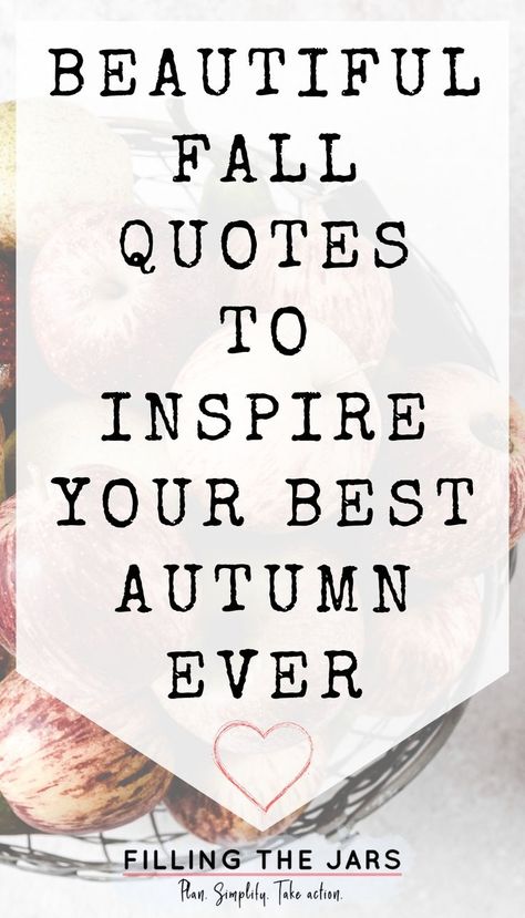 Text beautiful fall quotes to inspire your best autumn on white background over image of top view of apples and pears in mesh bowl on white counter. Fall Wellness Quotes, Autumn Is Coming Quotes, Autumn Message Board Quotes, Fall Reflection Quotes, Ber Months Are Coming, Fall Change Is Beautiful Quote, Harvest Time Quotes, Summer Fades Into Fall Quotes, Quotes On Fall Season