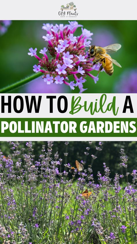 How to Build a Pollinator Garden Full Sun Pollinator Garden, Backyard Pollinator Garden, Pollinator Garden Design Ideas, Minnesota Pollinator Garden, Butterfly Garden Design Layout, Pollinator Garden Layout, Wildflower Garden Bed, Pollinator Garden Ideas, Bee Inquiry