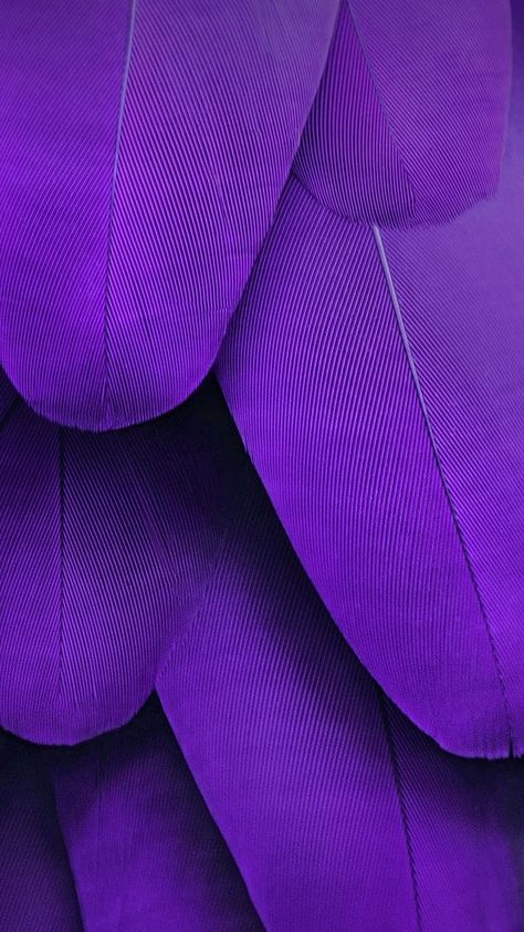 Ultra Violet | Colour Of The Year | Purple Ultraviolet Color, Pixel Wallpaper, Violet Aesthetic, Purple Things, Pantone Color Of The Year, Purple Walls, The Color Purple, Purple Love, All Things Purple