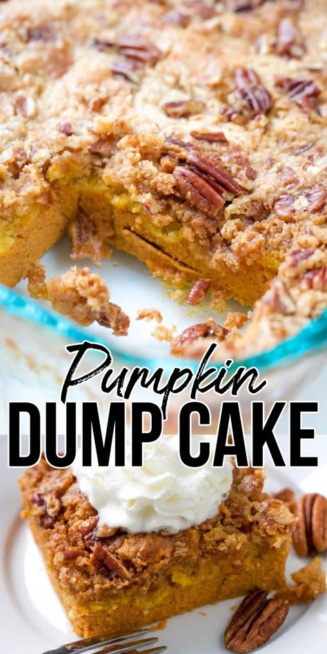 pumpkin dump cake on a plate Easy Pumpkin Dump Cake, Fall Desserts Pumpkin, Pumpkin Dump Cake Recipe, Pumpkin Dump, Dump And Bake, Dessert Squares, Dump Cake Pumpkin, Dump Cake Recipe, Pumpkin Recipes Easy