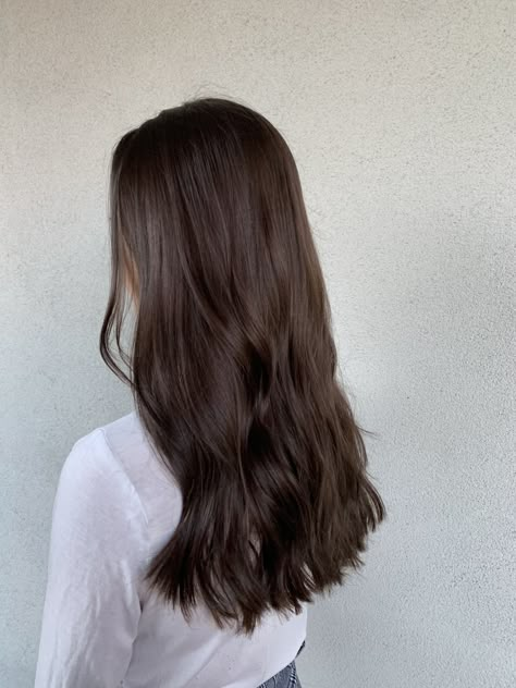 Chocolate Brown Brunette Hair, 1 Color Brown Hair, Long Dark Brown Hair Cool Tone, Trendy Haircuts For Thick Long Hair, Chocolate Brown Summer Hair, Hair Appointment Ideas, Prettiest Brown Hair Color, Soft Medium Brown Hair, Level 6 Neutral Brown Hair