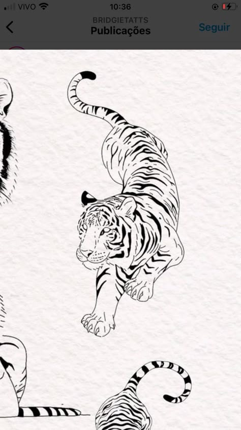 Modern Tiger Tattoo, Tiger Poses Drawing, Simple Tiger Tattoo Outline, Elegant Tiger Tattoo, Jumping Tiger Tattoo, Tiger Leg Tattoo For Women, Line Work Tiger Tattoo, Tiger Tattoo For Women Arm, Tiger Drawing Tattoo