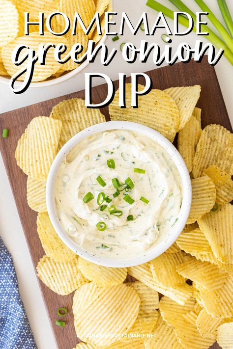 Green Onion Dip Recipe, Green Onion Dip, Bulk Recipes, Homemade Onion Dip, Chex Mix Recipes Sweet, Comfort Food Appetizers, Vegetable Dip Recipe, Green Onions Recipes, Chip Dip Recipes