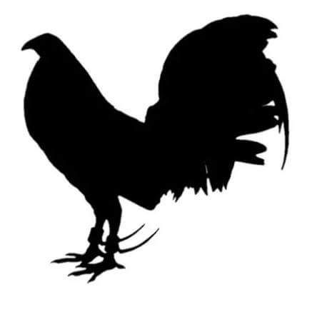 Game Rooster Tattoo, Gamefowl Tattoos, Chicken Cake Topper Printable, Gamefowl Logo, Country T Shirts, Chicken Breeds Chart, Rooster Silhouette, Rooster Tattoo, Small Neck Tattoos