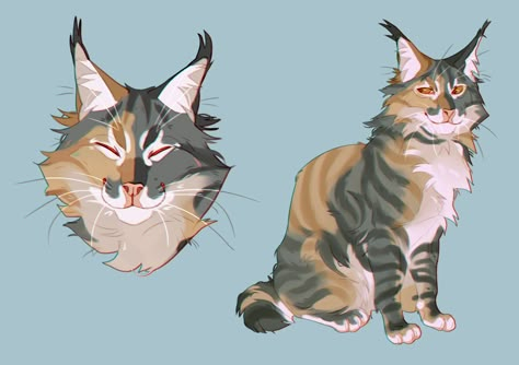 Warrior Cats Oc Ideas, Warrior Cats Ideas, Warrior Cat Ideas, Warrior Cat Art, Warrior Cats Oc, Cat Drawing Tutorial, Warrior Cats Books, Cat Anatomy, Battle Cats