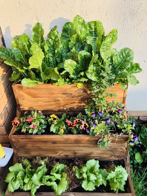 Balcony Garden Stand, Garden Box On Deck, Small Balcony Ideas Garden, Balcony Growing Vegetables, Plants In Small Balcony, Best Flowers For Containers, Balcony Gardening Vegetable, City Balcony Garden, Small Balcony Flower Garden