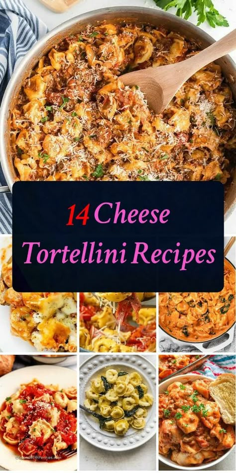 Get ready to indulge in creamy, cheesy goodness! Discover 14 mouthwatering cheese tortellini recipes that will melt your taste buds away. Easy Chicken And Tortellini Recipes, Pork Tortellini Recipes, Cheese Filled Tortellini Recipes, Easy Chicken Tortellini Recipes, Recipes Using Cheese Tortellini, Tortellini Recipes Chicken, Tortellini Recipes With Chicken, 5 Cheese Tortellini Recipes, Recipes With Cheese Tortellini