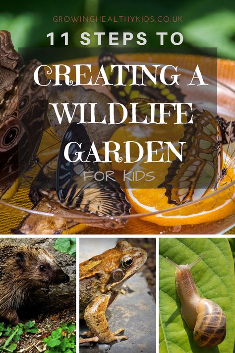 11 STEPS TO CREATING A WILDLIFE GARDEN WITH KIDS With Spring coming, bringing lighter days (finally) I bet you're wondering how you're going to keep your kids entertained? Why not try attracting wildlife to your garden? This can be a year round activity the kids can come back to over and over as the seasons change Wildlife Habitat Projects, Animal Friendly Garden, Wildlife Projects, Nature Garden Ideas, Wildlife Garden Ideas, Garden For Kids, Spring Coming, Garden Wildlife, Wildlife Garden