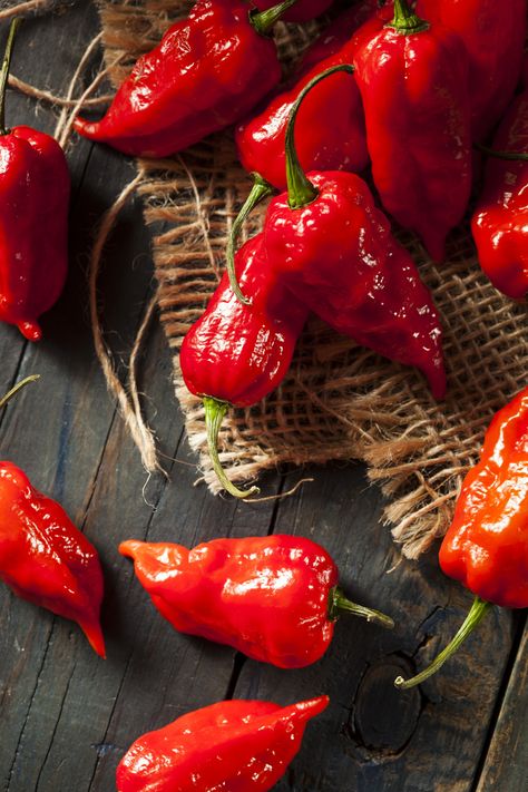 Bhut Jolokia, Quinoa Burgers, Hot Pepper Seeds, Vegetarian Quinoa, Ghost Pepper, Ghost Peppers, Hot Peppers, Hot Spicy, Pepper Sauce