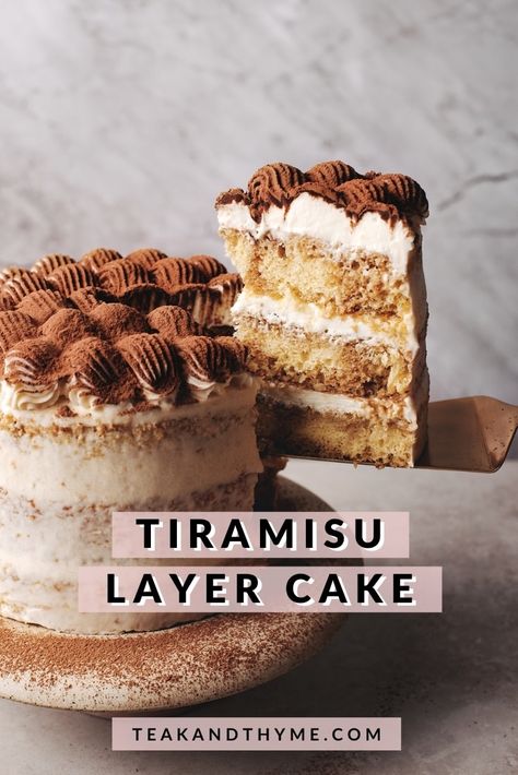 Tiramisu Sponge Cake Recipe, Cake Recipes Not Too Sweet, Different Chocolate Cake Flavors, Sponge Cake Flavour Ideas, Two Layer Cake Ideas, Tiramisu Flavored Cake, Different Cake Flavours, Sponge Cake Tiramisu, Tiramisu Birthday Cake Recipe