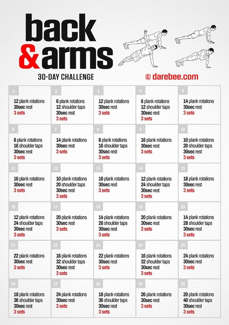 Back & Arms Challenge 30 Day Arm Workout Challenge At Home, 30 Day Arm And Back Challenge, 30 Day Back Challenge Women, Arm Challenge 30 Day Beginner, Back Workout Women Challenge 30 Day, 30 Day Challenge Arms And Back, Back 30 Day Challenge, Month Arm Workout Challenge, Love Handle Workout Challenge 30 Day