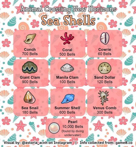 Hi✨ on Instagram: “🐚Sea Shells🐚 This list includes the shells that can be found on the beach (not including the pearl) and their sell price✨ I wanted to…” Acnh Guide, Acnh Tips, Animal Crossing Tips, Shell Animals, Animal Crossing 3ds, Animal Crossing Funny, Animal Crossing Memes, Animal Crossing Guide, Animal Crossing Island Ideas