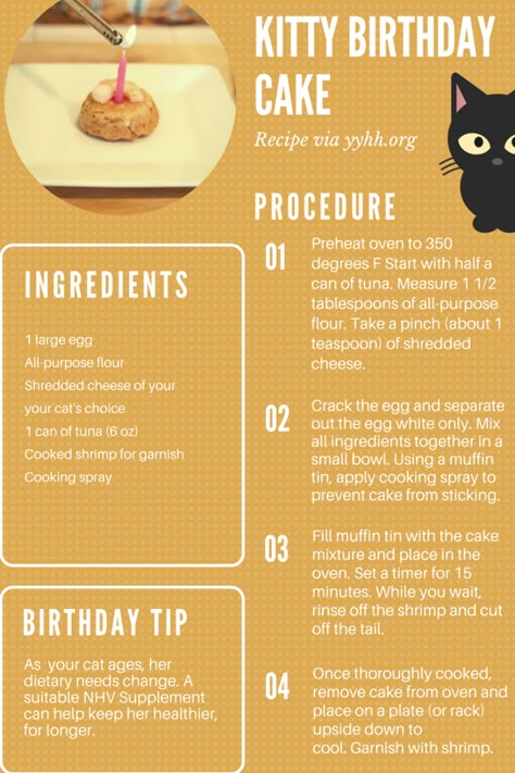 Cake Recipe For Cats, Cat Treats Recipes, Homemade Cat Treats Recipes, Diy Cat Treats, Homemade Cat Treats, Kitty Birthday Cake, Birthday Cake For Cat, Pet Treats Recipes, Homemade Cat Food