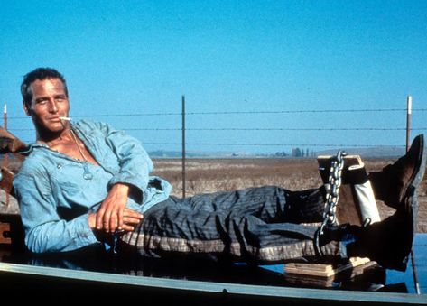 Esquire on Instagram: “#TBT: Paul Newman on the 1967 set of ‘Cool Hand Luke.’” Paul Newman Young, Rolex Daytona Paul Newman, Paul Newman Joanne Woodward, Top Rated Movies, Cool Hand Luke, Joanne Woodward, Race Car Driver, Silver Bear, Movie Actors