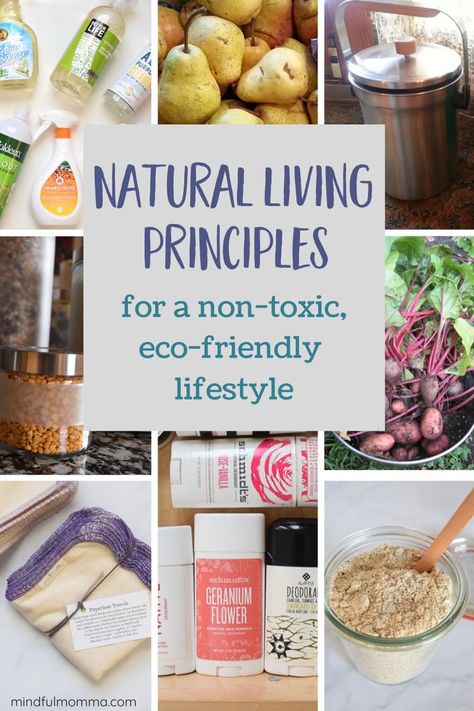 Learn the 3 basic principles of a natural, eco-friendly lifestyle - real food, non-toxic products, and eco-friendly choices. | #ecofriendly #natural #realfood #nontoxic Living Sustainably Tips, How To Live A Natural Lifestyle, All Natural Living, Crunchy Lifestyle Natural Living, Organic Lunch Ideas, Crunchy Living, Plastik Recycling, Living Naturally, Nature Living