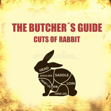 Rabbit Cut of meat . Butcher diagram, scheme royalty free illustration Butcher Diagram, Meat Butcher, Rabbit Head, Meat Markets, Meat Cuts, Free Illustrations, Stock Illustration, Fish, Meat