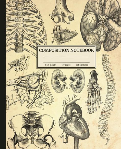 Composition Notebook: Vintage Human Anatomy | Unique Medical Illustrations | Human Body | Medical Themed 110 College Ruled Pages | Medical School and Pre-Med | Great Gift for Students | Note Taking: Publishing, Inky Pup: Amazon.com: Books Anatomy And Physiology Cover Page, Anatomy Notebook Cover, Anatomy Book Cover, Anatomy Notebook, Aesthetic Anatomy, Medical Notebook, Notebook Paper Template, Goodnotes Covers, Goodnotes Notebook