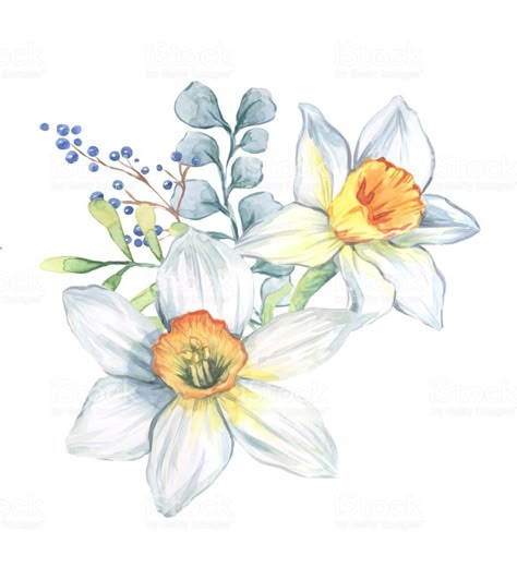 Narcissus Flower Tattoo, Narcissus Flower Tattoos, Tattoo Watercolor, Narcissus Flower, Flower And Leaves, Birth Flower Tattoos, Flower Art Drawing, Flowers Paintings, Diy Watercolor Painting