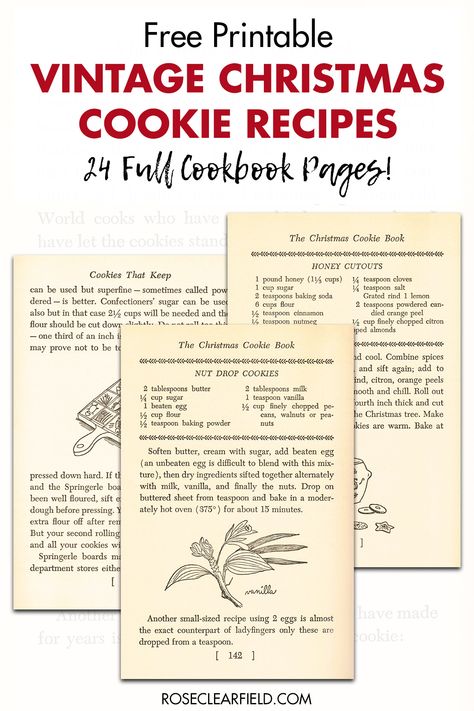 A collection of FREE printable vintage Christmas cookie recipe pages! 24 full cookbook pages to print featuring a variety of cookie recipes, including hand drawn illustrations, baking tips, and personal narrative. #freeprintables #Christmasprintables #vintagecookbook Free Printable Vintage Recipes, Vintage Recipe Cards Printable Free, Christmas Ephemera Free Printables, Free Printable Recipe Pages, Organize Recipe, Corn Cookies Recipe, Vintage Christmas Printables, Vintage Christmas Cookies, Free Christmas Printables Vintage