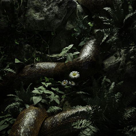 Snake In Forest, Swamp Woman, Snake Aesthetic, Making Aesthetic, 3d Forest, Dappled Sunlight, Dark Forest Aesthetic, Magic Video, Ancient Trees