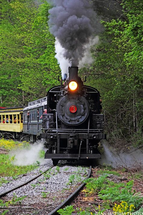 Old Trains Steam Locomotive, Colorado Railroad, Steam Trains Photography, Train Images, Alaska Railroad, Old Steam Train, Train Photos, Vintage Trains, Steam Engine Trains