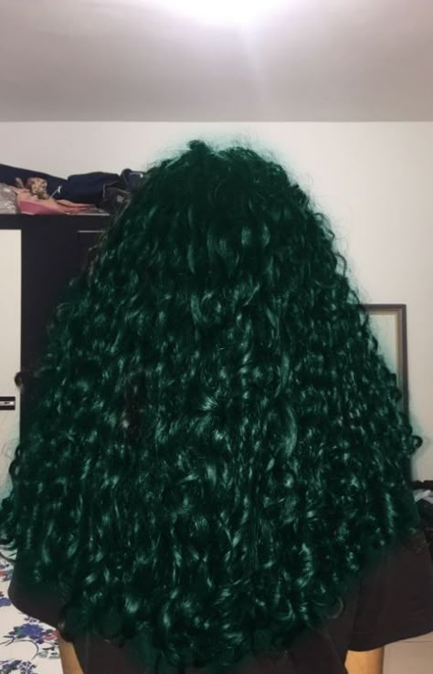 Dyed Curly Hair Green, Multicolored Curly Hair, Emerald Green Curly Hair, Green And Black Curly Hair, Dark Green Hair Curly, Green Curly Hair Natural Curls, Dark Green Dyed Hair, Like Green Hair, Dark Green Hair Black Women