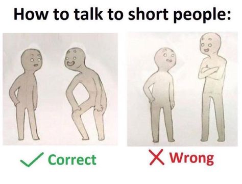 How to talk to short people Short People Problems, Short Person, Funny Text Posts, Short People, How To Talk, Dont Stop, Daily Memes, Funny Funny, Edgy Memes