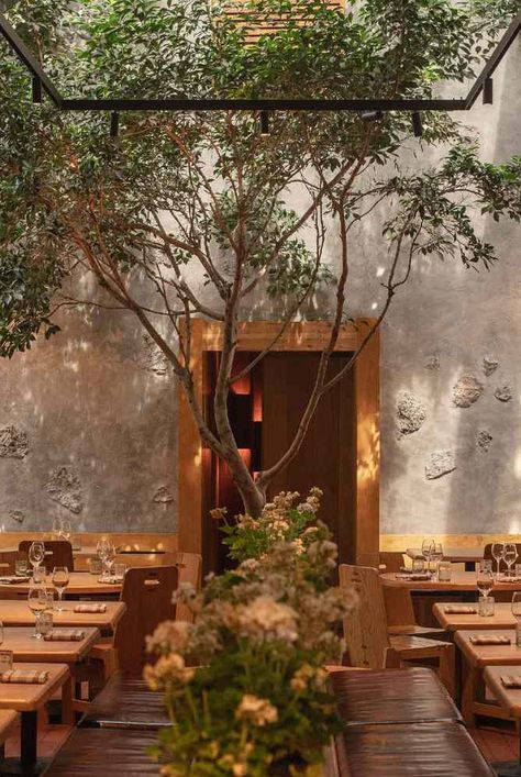 Modern Latin Restaurant Design, Maximo Bistrot Mexico City, Best Restaurants Mexico City, Mexico Restaurant Design, Spain Restaurant, Mexico Town, Mexico Restaurant, Condesa Mexico City, Mexico City Food