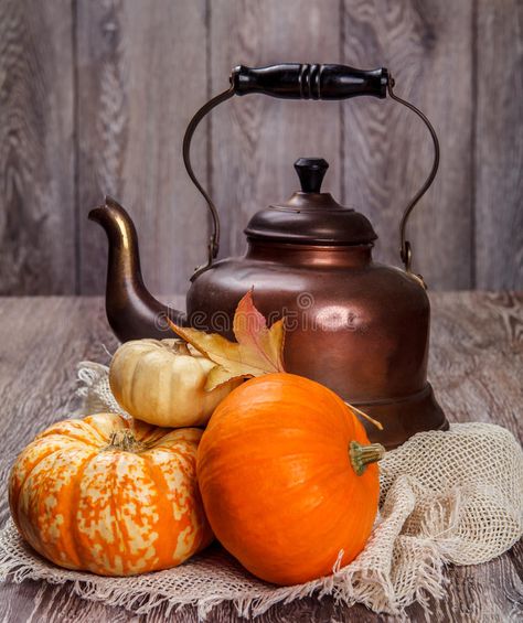 Autumn still life stock photography Pumpkin With Leaves, Autumn Still Life, Still Life Pictures, Life Drawing Reference, Still Life Images, Still Life Fruit, Still Life Photos, Big Photo, Still Life Drawing