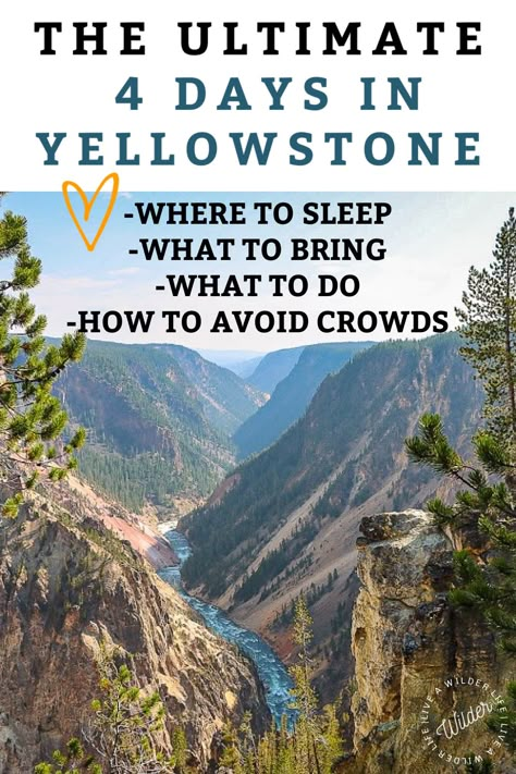 Yellowstone Itinerary 2 Days, Yellowstone Travel Guide, Yellowstone Trip Itinerary, Yellowstone In October, Yellowstone In May, Yellowstone National Park Itinerary, Yellowstone Hikes, Yellowstone Vacation Planning, Yellowstone Itinerary