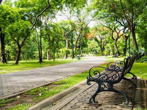 Top 20 of the most beautiful parks in London - GlobalGrasshopper Green Park London, London Park Aesthetic, Green Park Aesthetic, Park Reference, Beautiful Places In London, Place Background, Aesthetic Park, London Parks, Park Background