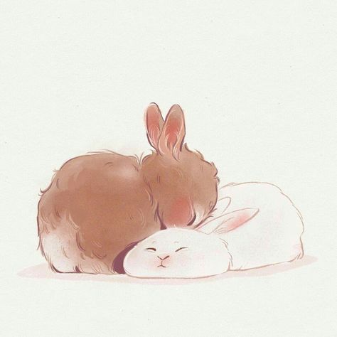 Sleeping Drawing, Sleeping Bunny, Cute Animal Art, Bunny Tattoos, Bunny Drawing, Cute Sketches, Bun Bun, Rabbit Art, Bunny Art