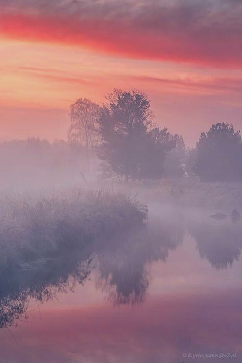 Dawn Sky, Misty Dawn, Misty Morning, Foggy Morning, Pink Sky, Nature Paintings, Tree Painting, Inner Peace, Beautiful Landscapes