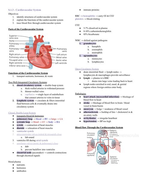 Cardiology Notes Medical, Heart Anatomy Notes, Cardiology Terminology, Heart Anatomy Studying, Cardiac Cycle Notes, Cardiologist Aesthetic, Cardiovascular System Notes, Cardiovascular System Notes Nursing, Sonography Student Study